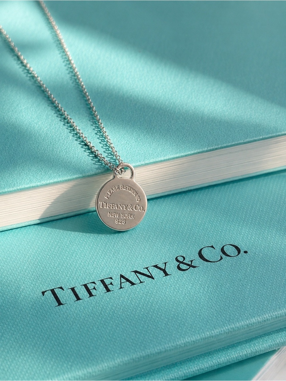 Authentic Tiffany & Co Mini Round Charm Pendant Necklace